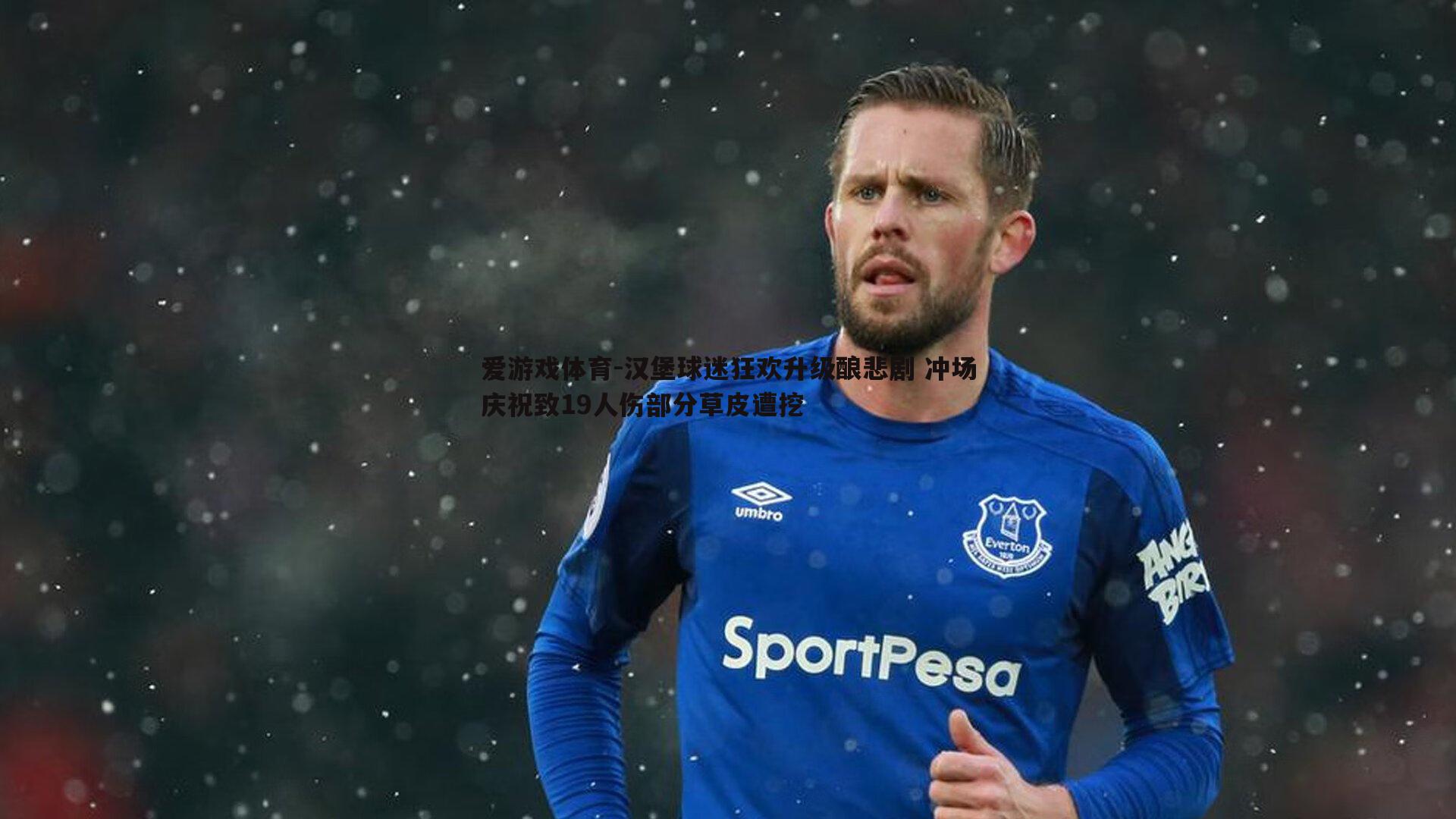 汉堡球迷狂欢升级酿悲剧 冲场庆祝致19人伤部分草皮遭挖